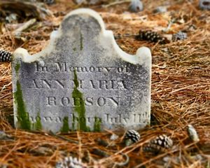 Grave marker in the historic Robson family plot at Maryland's Robinson Neck preserve.