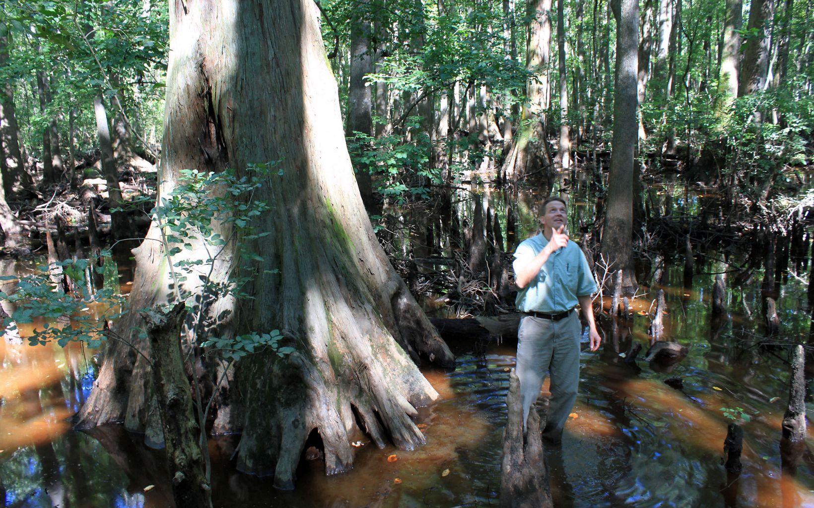 Brian van Eerden, Virginia Pinelands Program Director, stands under a towering cypress tree.