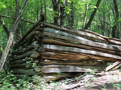 The corner of a dilapidated wooden fence from a long abandoned homestead juts out from the trees in a thick forest.