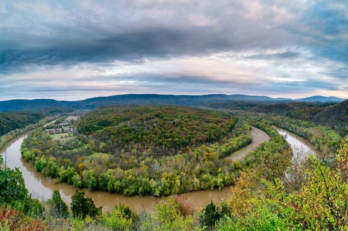 Looking down on a still brown river as it curves through a thick forest. A mountain ridgeline stretches across the horizon.