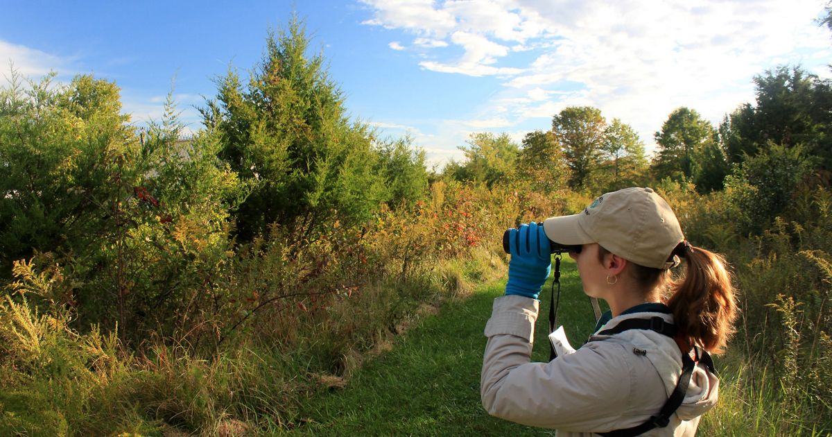 Preserve Guidelines | The Nature Conservancy in Maryland/DC