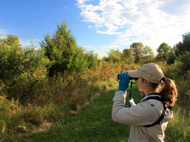 Morning Bird Walk