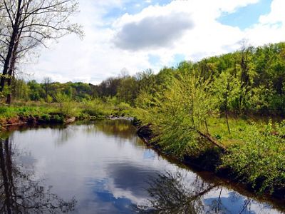 Clouds are reflected in the narrow channel of Meadow Creeks as it bends through a forested urban park in summer.