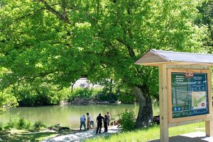 A group of six people stand at the edge of the Clinch River at a kayak put-in site. A tall, mature tree bends over the water, shading the bank. A large information kiosk is visible in the foreground.