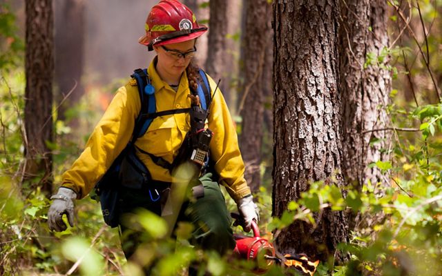 A woman uses a drip torch at a controlled burn. A woman wearing yellow fire gear and a red hard hat walks through a forest carrying red canister. Smoke rises behind her from a low fire.