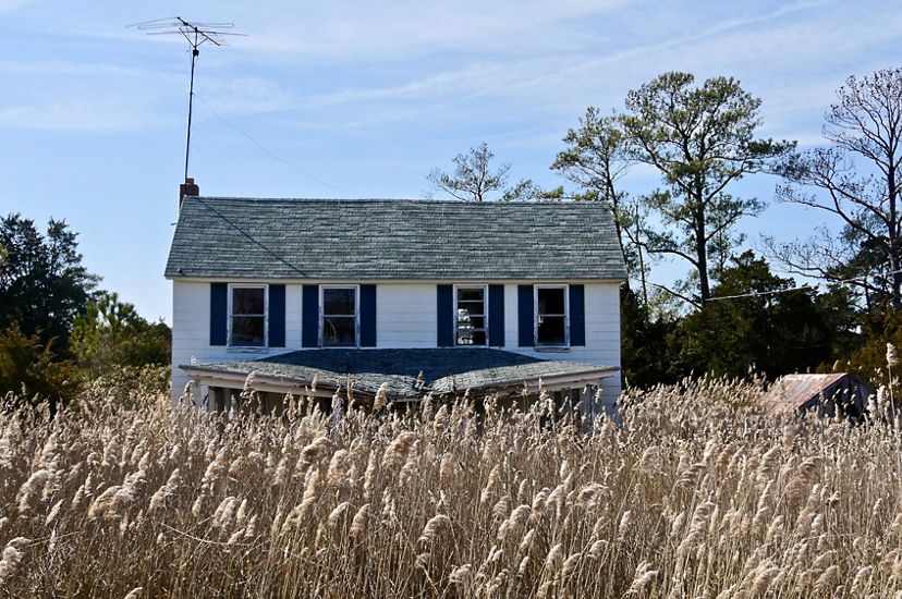 An abandoned house sits partially hidden by tall marsh grass. The windows are broken out and the porch roof is sagging in the middle.