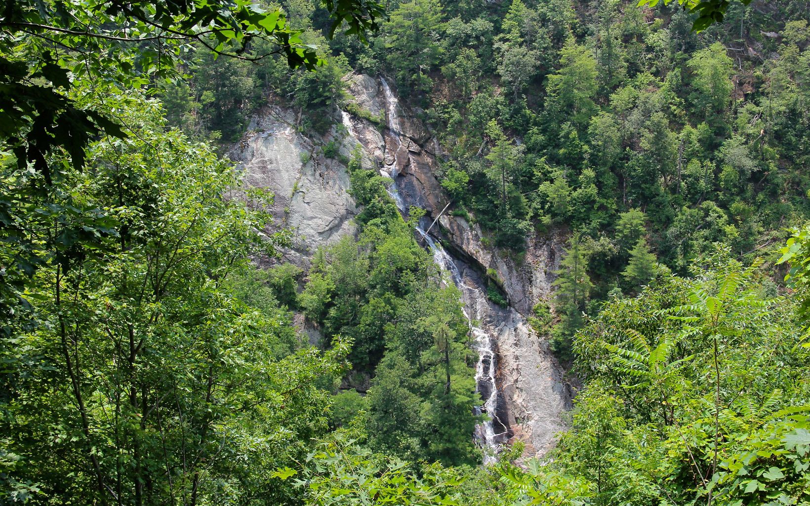 A thin stream of water cascades down the bare rock face of a waterfall. Leafy trees and vegetation grow from the side of the mountain.