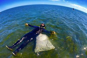 A man in a wet suit floats above a seagrass meadow in shallow water. A fish eye lens has been used, giving a curve to the horizon behind him.