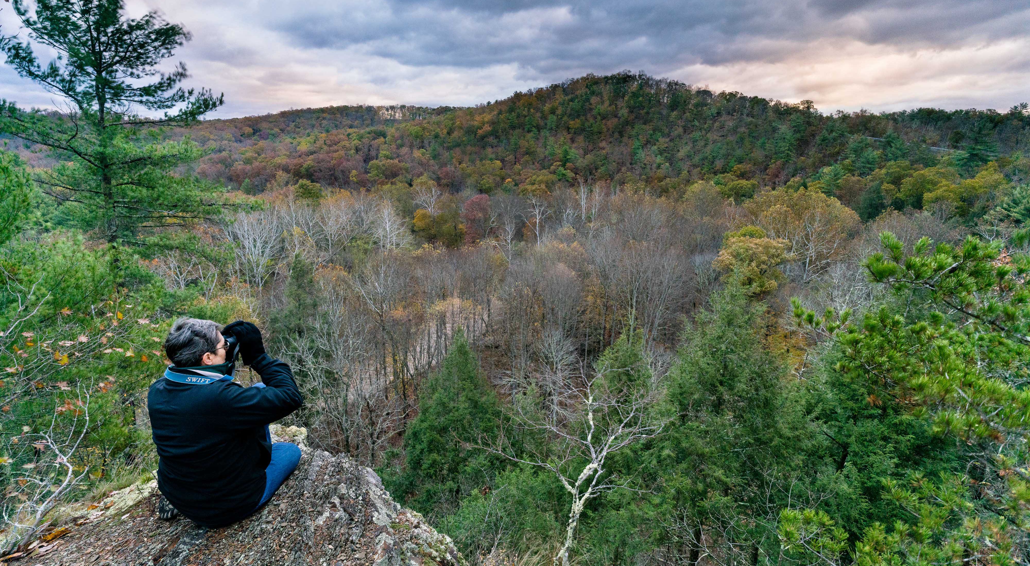 A person sits on a rock with binoculars looking at the forest.