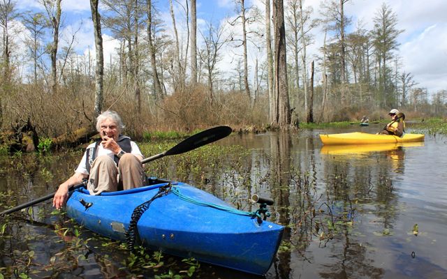 A smiling woman sits in a blue kayak floating in a cypress swamp. A man in a yellow kayak paddles behind her.