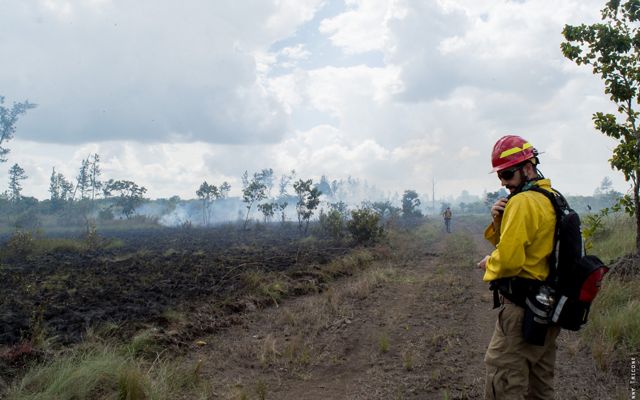 Maryland/DC's Chase McLean on the fire line during TNC wildfire suppression training, Belize, February 2019.