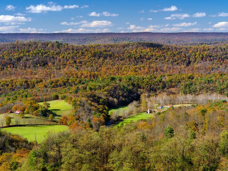 A view of rolling green hills and countless trees with small houses in the green grass.