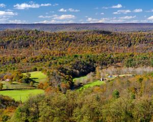 View looking out over a valley to the forested mountains beyond. Two small farms are nestled into green openings in the forest.