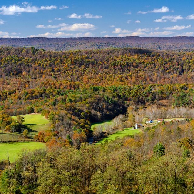 The Nature Conservancy in Maryland/D.C.