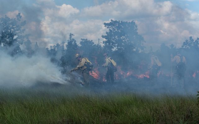 Two men are obscured by the smoke of a controlled burn. They apply water to a fire line to stop the spread of the fire.