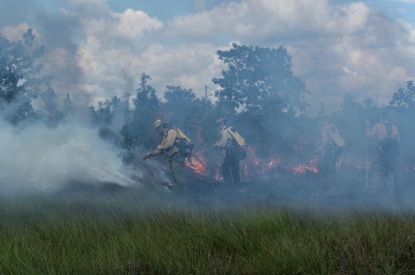Two men are obscured by the smoke of a controlled burn. They apply water to a fire line to stop the spread of the fire.