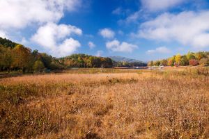 View looking across a vast field of golden marsh grasses with a body of water in the distance and autumn-colored forests lining its banks.