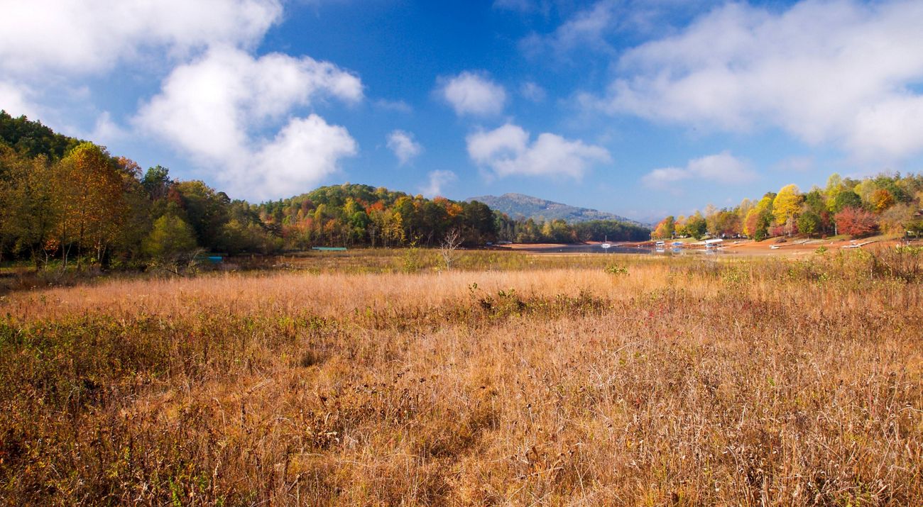 View looking across a vast field of golden marsh grasses with a body of water in the distance and autumn-colored forests lining its banks.