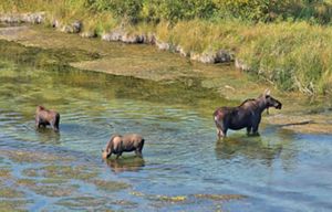Silver Creek Preserve | The Nature Conservancy in Idaho