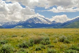 A view across the green grasslands of Pahsimeroi Valley in Idaho toward snow-capped mountains in the distance.