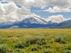 A view across the green grasslands of Pahsimeroi Valley in Idaho toward snow-capped mountains in the distance.