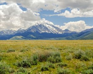A view across the green grasslands of Pahsimeroi Valley in Idaho toward snow-capped mountains in the distance.