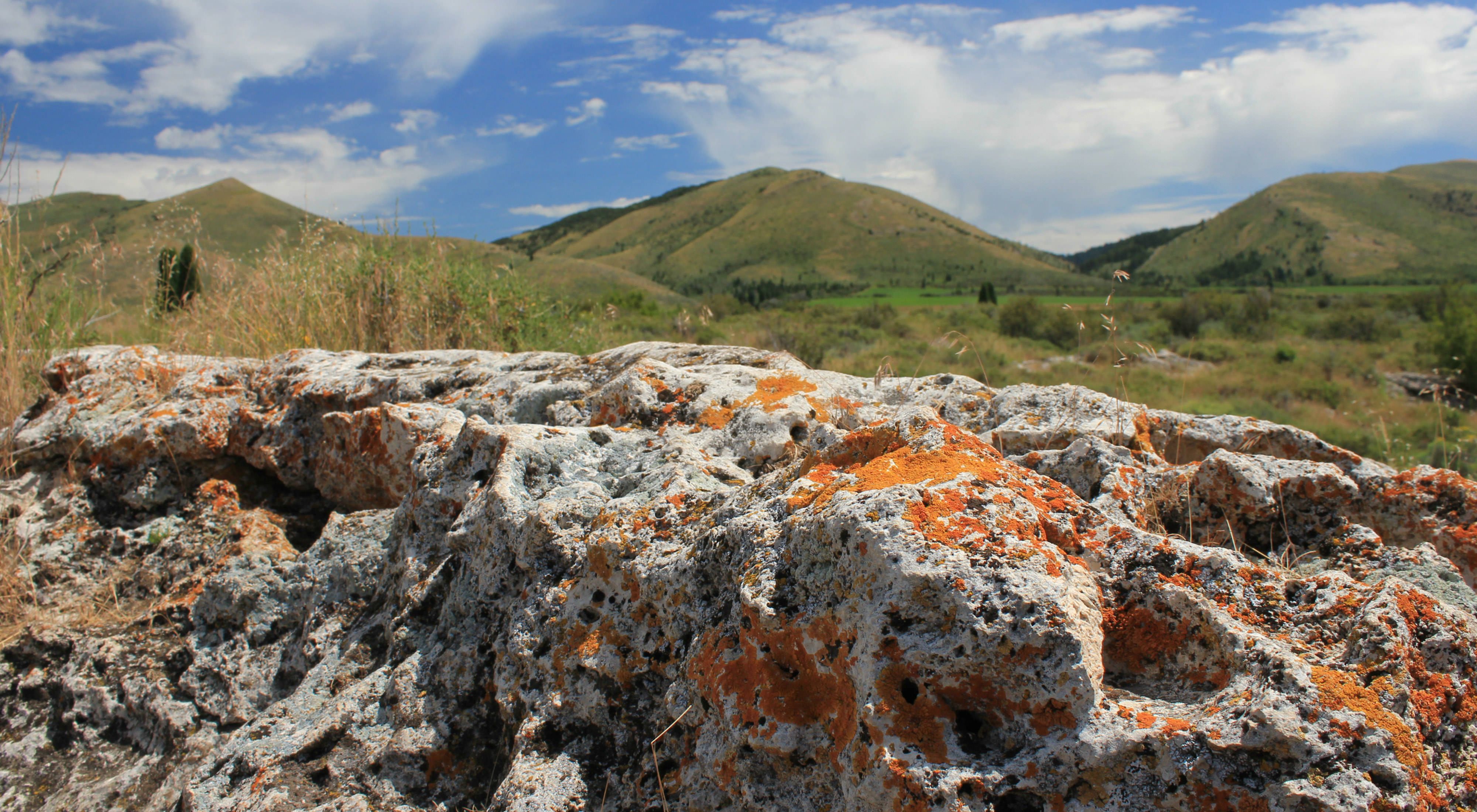 A rocky outcrop with orange lichen growing on it in the foreground with grassy hills in the background.