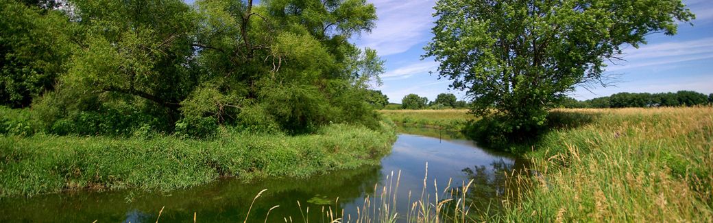 A stream meanders through a grassy landscape with trees along its banks.
