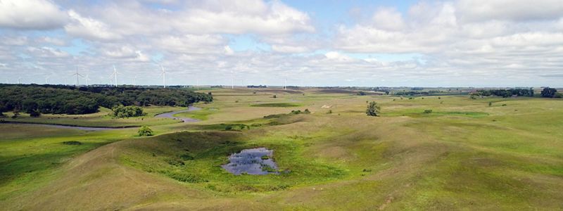 Panorama of rolling green farmland with windmills in distance.