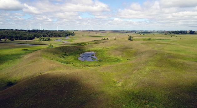 Panorama of rolling green farmland with windmills in distance.