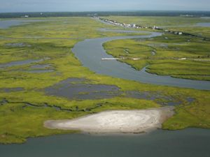 Aerial view of a salt marsh in New Jersey.
