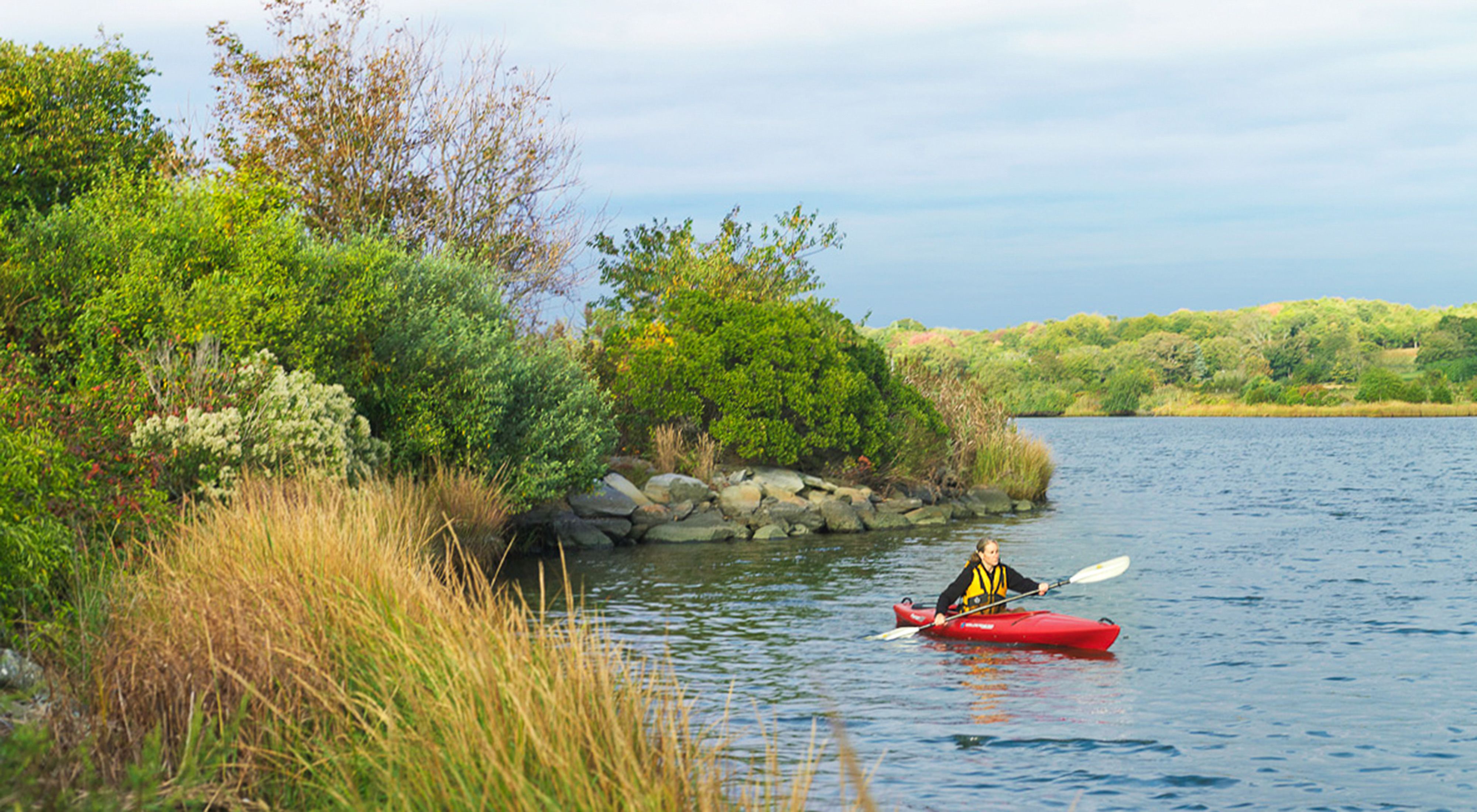 A kayaker paddles along a shoreline with green shrubs growing up to the rocks at the water's edge.