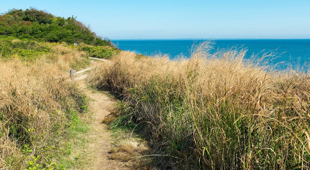 A long view of blue ocean waters from atop a grassy bluff.