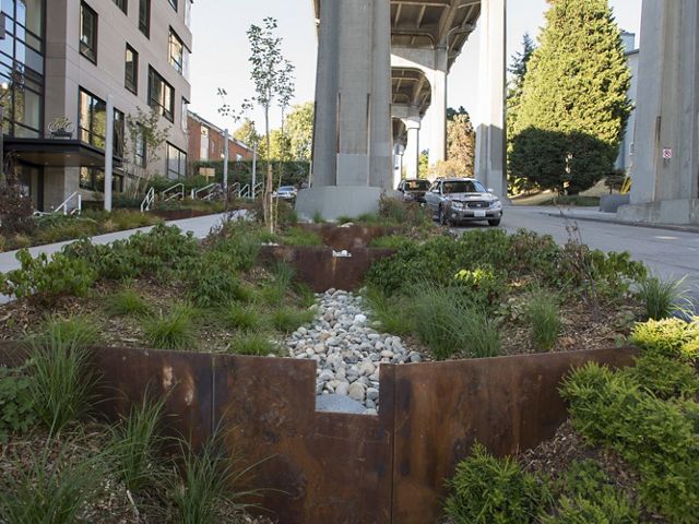 Located in the roadside planting strip next to the Data 1 building and under the Aurora Bridge. Photo 