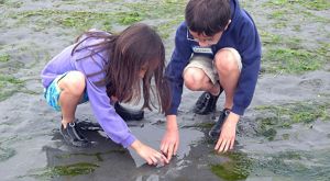 Two children kneeling down in the sand at low tide at Foulweather Bluff Preserve.