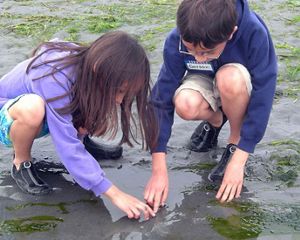 Two children kneel down in the sand at low tide.