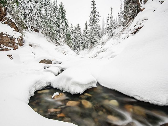 Snowshoeing  to Franklin Falls along the south fork of the Snoqualmie River. 