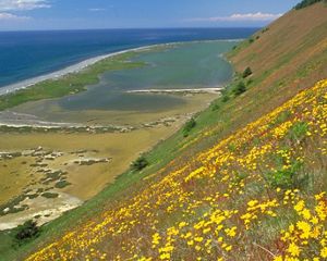 Expansive view of blue sea in the distance with a lagoon below and a steep bluff covered by yellow wildflowers in the foreground.