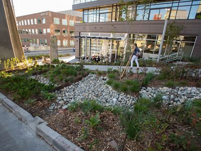 A woman enjoys walking through a rain garden in the Fremont neighborhood of Seattle.