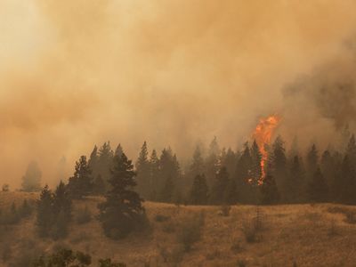 in the Sinlahekin Wildlife Area during the Okanogan Complex Fire in 2015. With a warmer, drier climate predicted, fire risk in central Washington will only worsen.