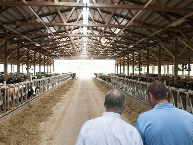 All Internal Rights. Jeremy Visser gives Governor Inslee and others a tour around the dairy farm. Photo by Hannah Letinich.  