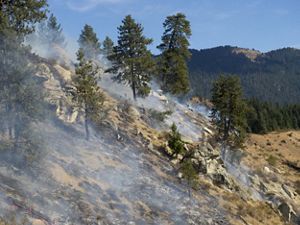 New Science On Prescribed Fire