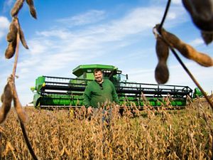 A man in a green sweatshirt stands in front of a large green combine in a soybean field.