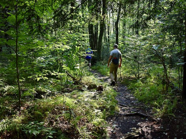 Dos personas caminando por un sendero estrecho a través de un bosque verde y espeso.