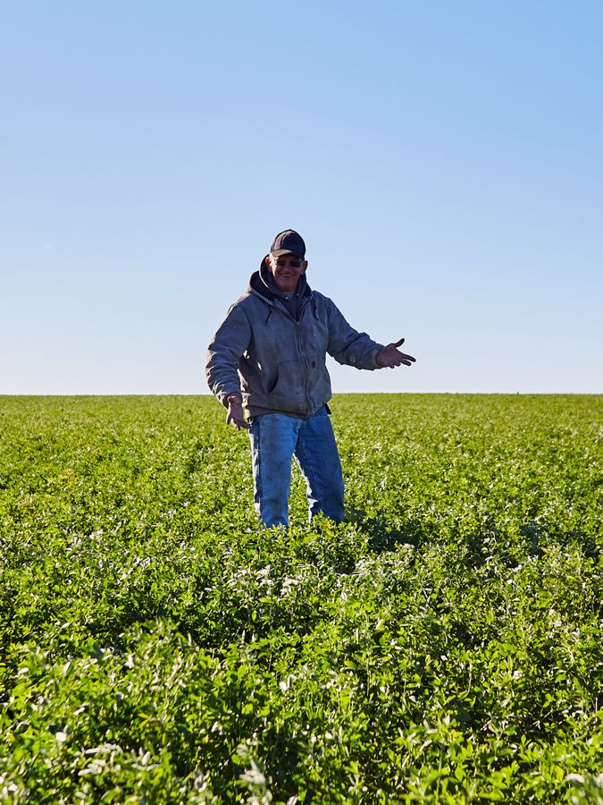 A person shows off their field of healthy cover crops.