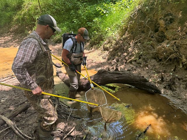 Two TNC staff members are electrofishing. They are holding nets and one of them has a backpack.