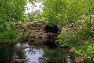 A culvert pipe is blocked by branches and debris.