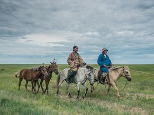 Herders ride on horses on the grassland steppe of Eatern Mongolia's Tosonhulstai Nature Reserve.