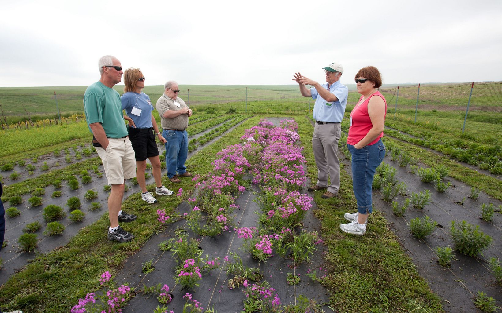 A group of people gather around a forb garden on the prairie.