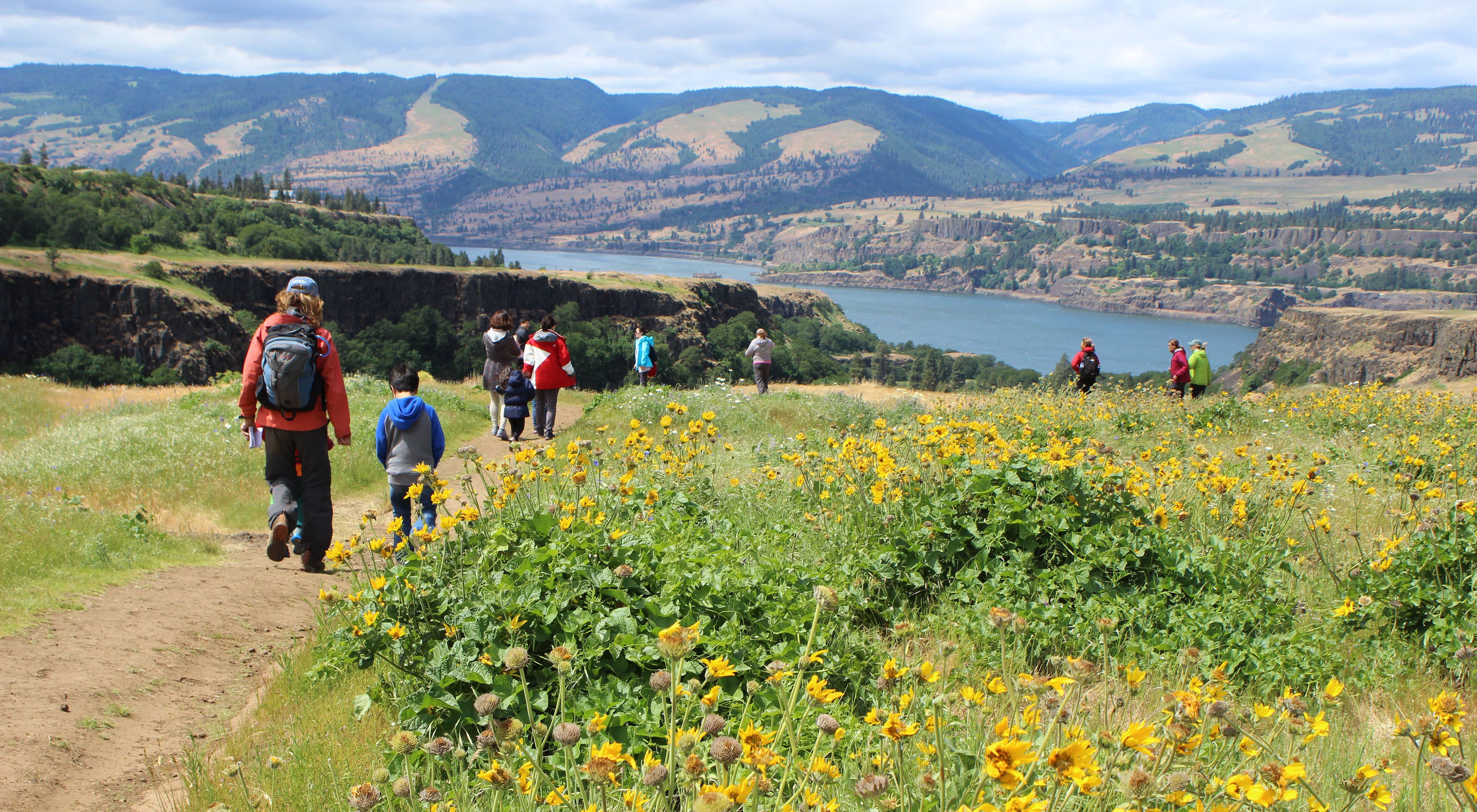 Hikers explore Tom McCall Preserve at Rowena Crest in the Columbia River Gorge, Oregon.